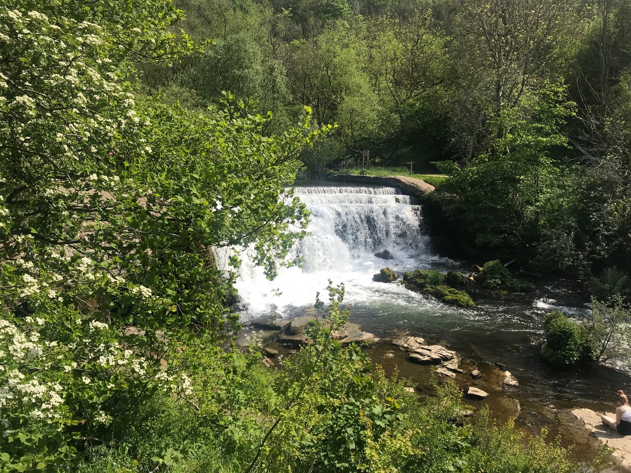 Fwd: Monsal Dale			
					</div><!-- .entry-content -->
		
		<footer>
		
		
		
					
					</footer><!-- .entry-meta -->
	</article><!-- #post -->
				
											
				
		
<hr class=