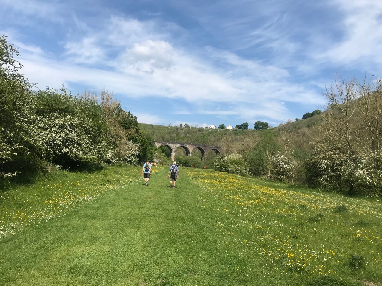 Fwd: Little Longstone			
					</div><!-- .entry-content -->
		
		<footer>
		
		
		
					
					</footer><!-- .entry-meta -->
	</article><!-- #post -->
				
											
				
		
<hr class=