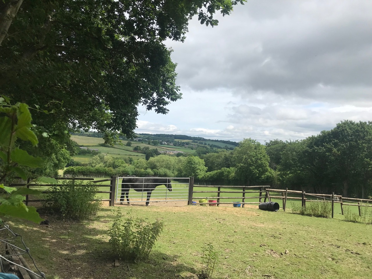 Fwd: View to Ridgeway from Troway			
					</div><!-- .entry-content -->
		
		<footer>
		
		
		
					
					</footer><!-- .entry-meta -->
	</article><!-- #post -->
				
											
				
		
<hr class=