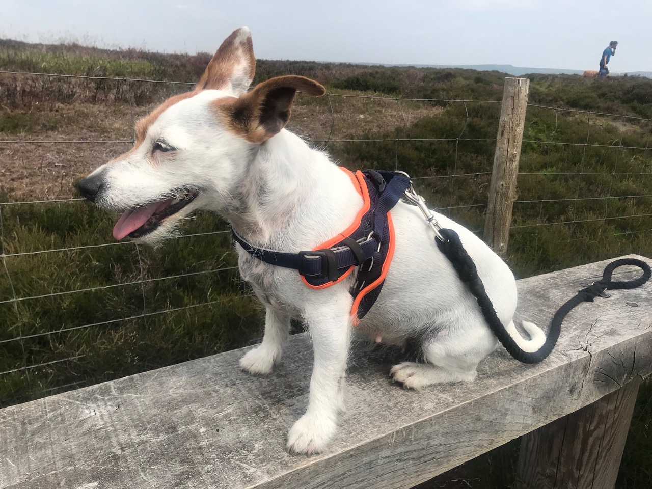 Fwd: Toots Hathersage			
					</div><!-- .entry-content -->
		
		<footer>
		
		
		
					
					</footer><!-- .entry-meta -->
	</article><!-- #post -->
				
											
				
		
<hr class=