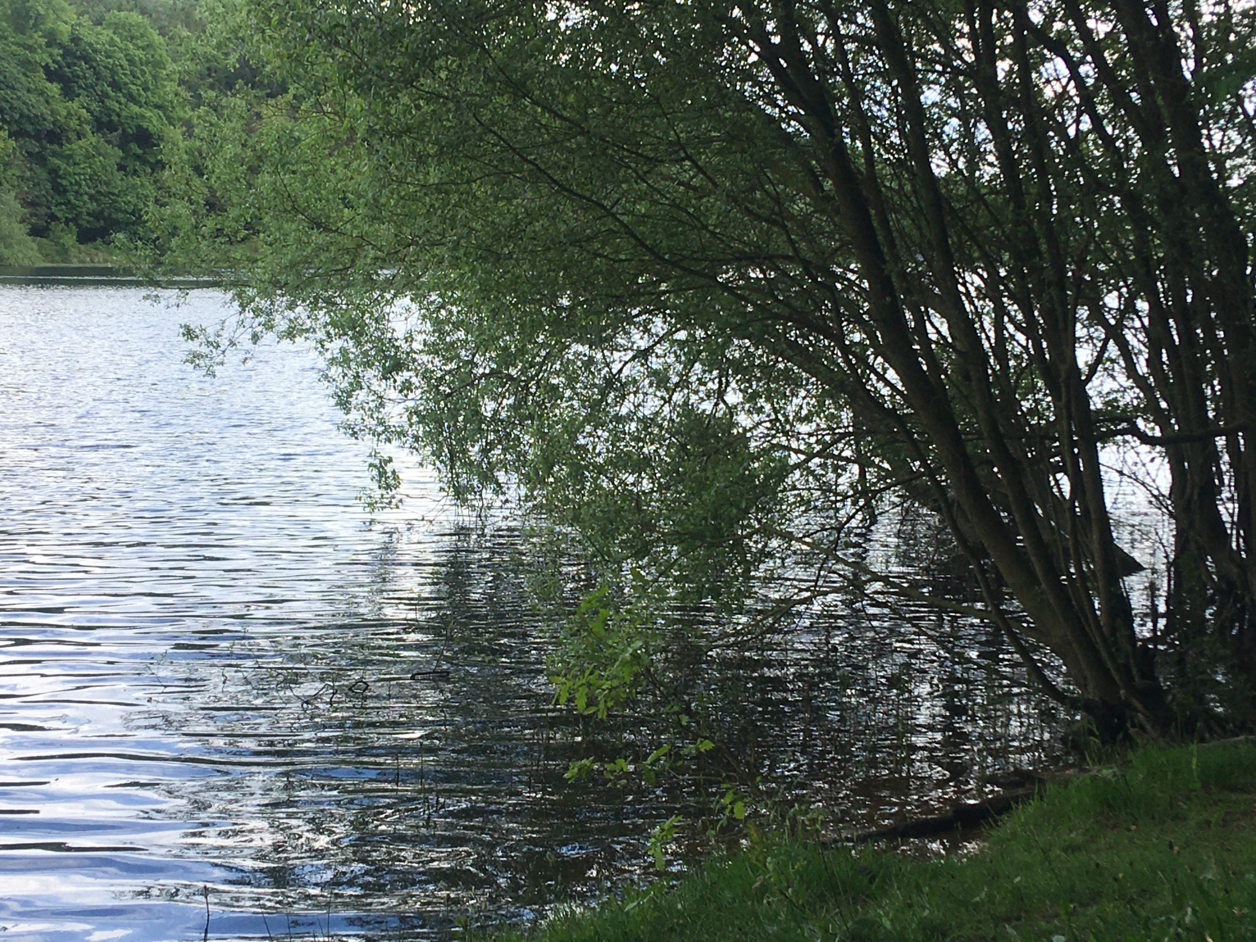 Fwd: Damflask			
					</div><!-- .entry-content -->
		
		<footer>
		
		
		
					
					</footer><!-- .entry-meta -->
	</article><!-- #post -->
				
											
				
		
<hr class=