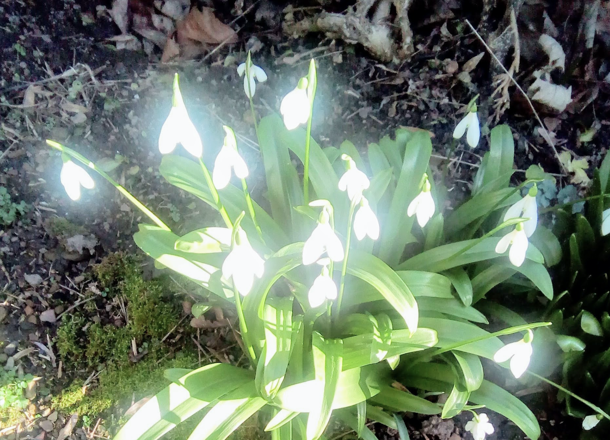 Fwd: Spring			
					</div><!-- .entry-content -->
		
		<footer>
		
		
		
					
					</footer><!-- .entry-meta -->
	</article><!-- #post -->
				
											
				
		
<hr class=