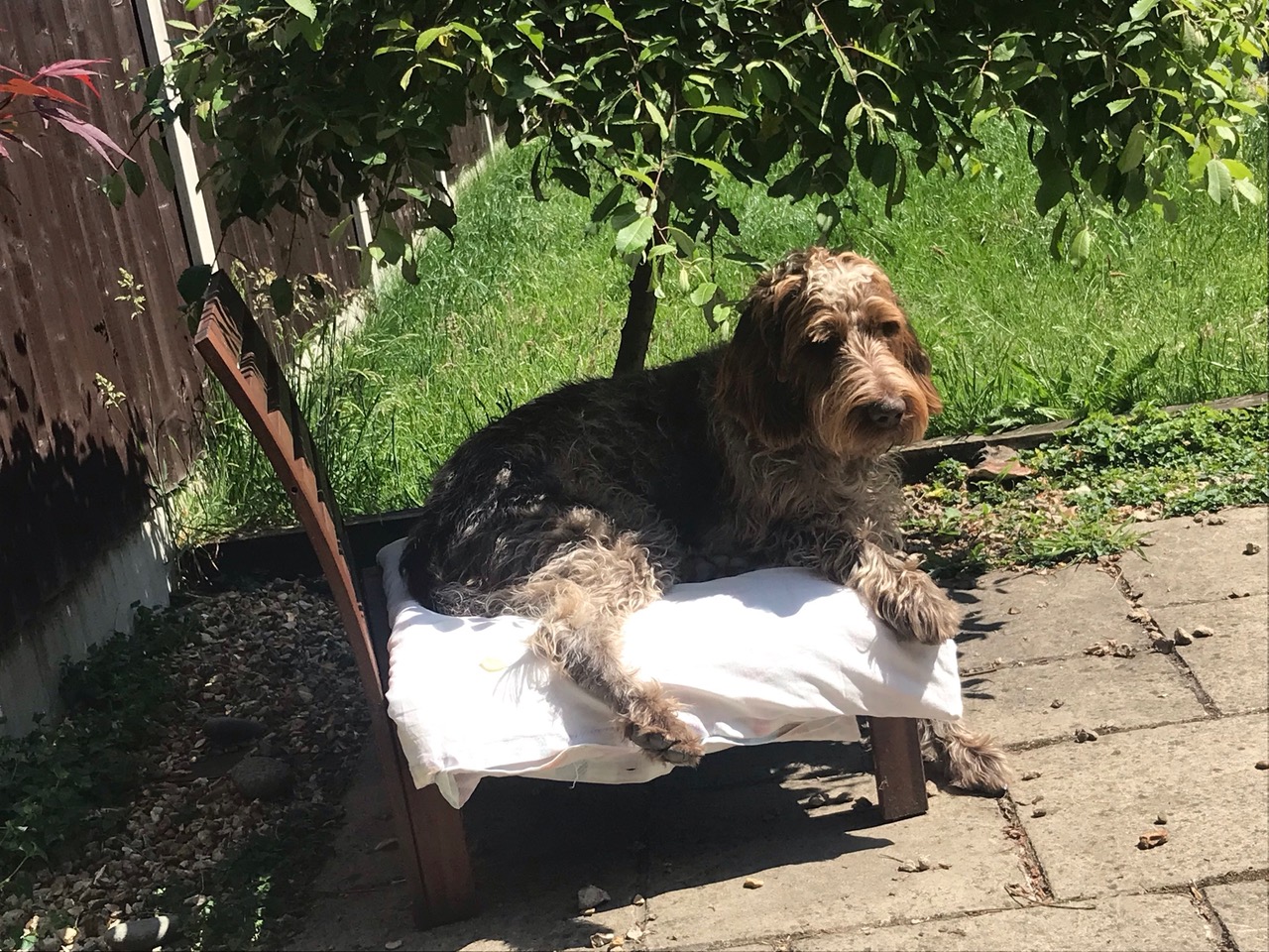 Fwd: Photograph by Nira of Rudy			
					</div><!-- .entry-content -->
		
		<footer>
		
		
		
					
					</footer><!-- .entry-meta -->
	</article><!-- #post -->
				
											
				
		
<hr class=