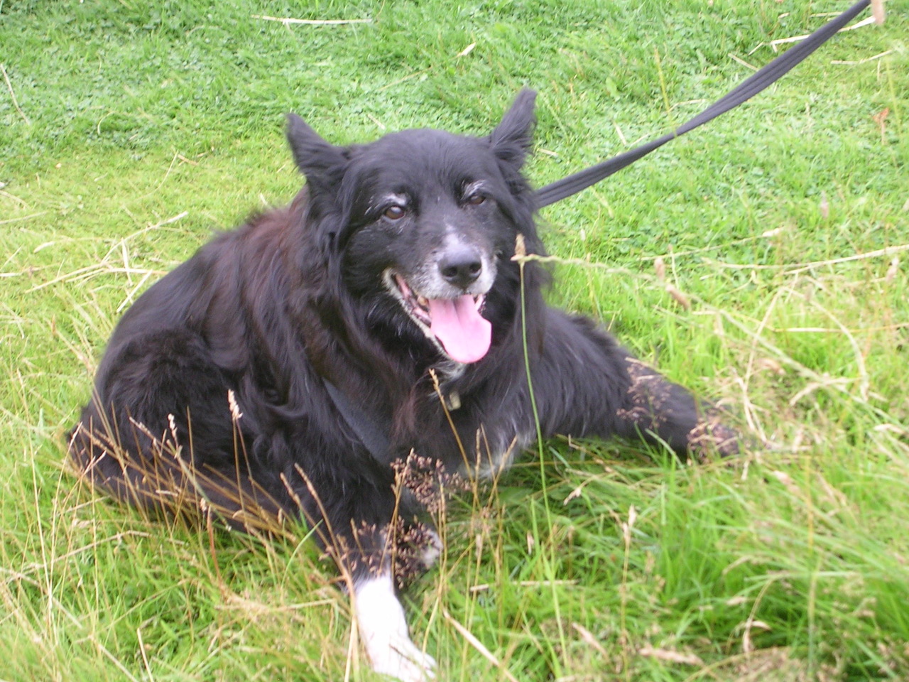 Fwd: Cassie from Fulwood			
					</div><!-- .entry-content -->
		
		<footer>
		
		
		
					
					</footer><!-- .entry-meta -->
	</article><!-- #post -->
				
											
				
		
<hr class=