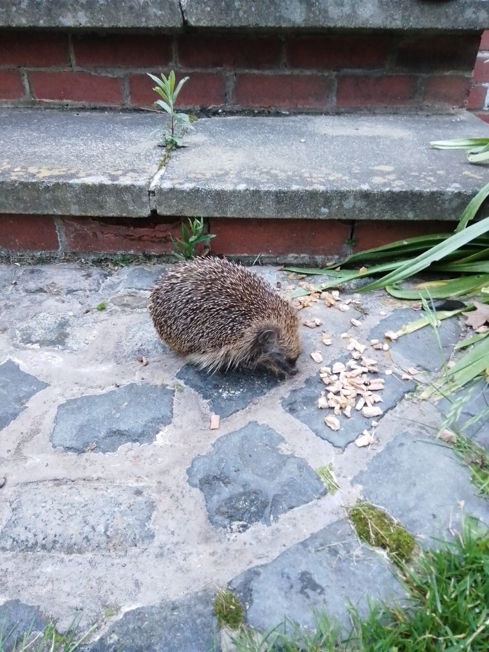 Fwd: Tiggywinkle			
					</div><!-- .entry-content -->
		
		<footer>
		
		
		
					
					</footer><!-- .entry-meta -->
	</article><!-- #post -->
				
											
				
		
<hr class=