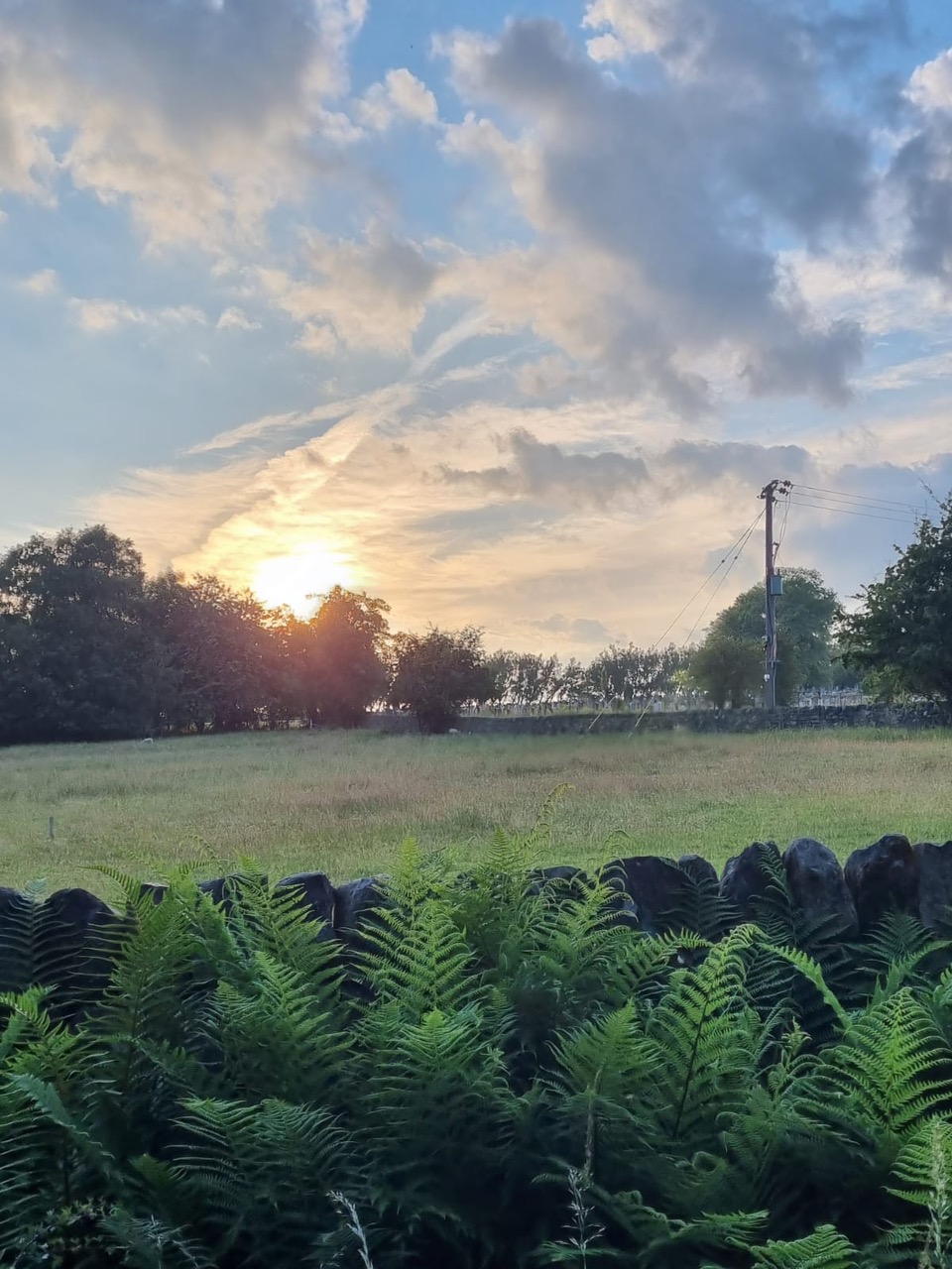 Fwd: Loxley Bottoms sunset by Vee Jay			
					</div><!-- .entry-content -->
		
		<footer>
		
		
		
					
					</footer><!-- .entry-meta -->
	</article><!-- #post -->
				
											
				
		
<hr class=