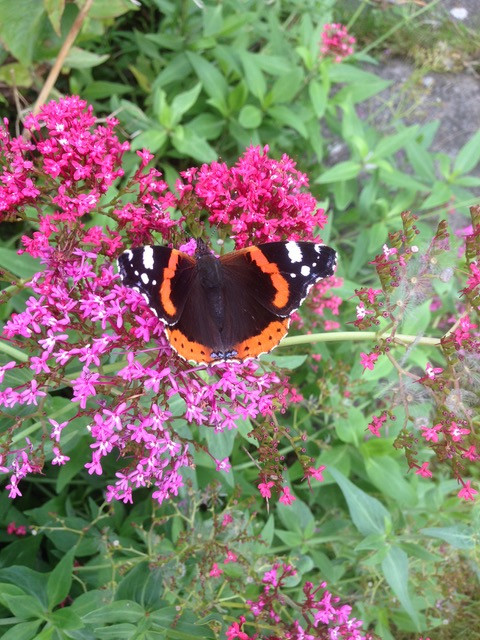 Fwd: Supreme by Val Unwin			
					</div><!-- .entry-content -->
		
		<footer>
		
		
		
					
					</footer><!-- .entry-meta -->
	</article><!-- #post -->
				
											
				
		
<hr class=