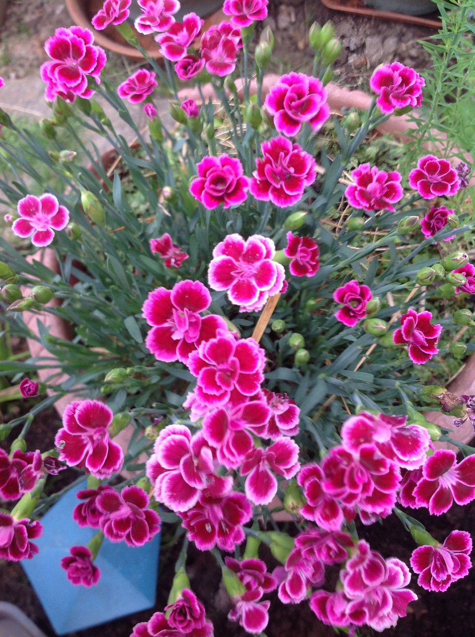 Fwd: Nira			
					</div><!-- .entry-content -->
		
		<footer>
		
		
		
					
					</footer><!-- .entry-meta -->
	</article><!-- #post -->
				
											
				
		
<hr class=
