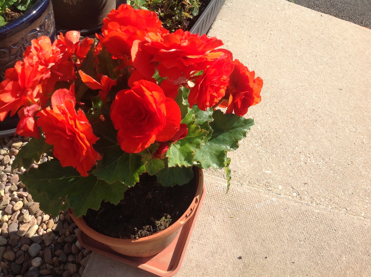 Fwd: Photograph by Nira			
					</div><!-- .entry-content -->
		
		<footer>
		
		
		
					
					</footer><!-- .entry-meta -->
	</article><!-- #post -->
				
											
				
		
<hr class=