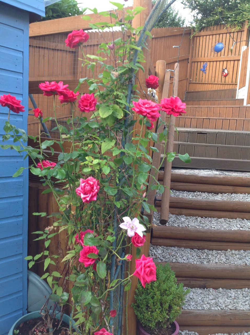 Fwd:			
					</div><!-- .entry-content -->
		
		<footer>
		
		
		
					
					</footer><!-- .entry-meta -->
	</article><!-- #post -->
				
											
				
		
<hr class=