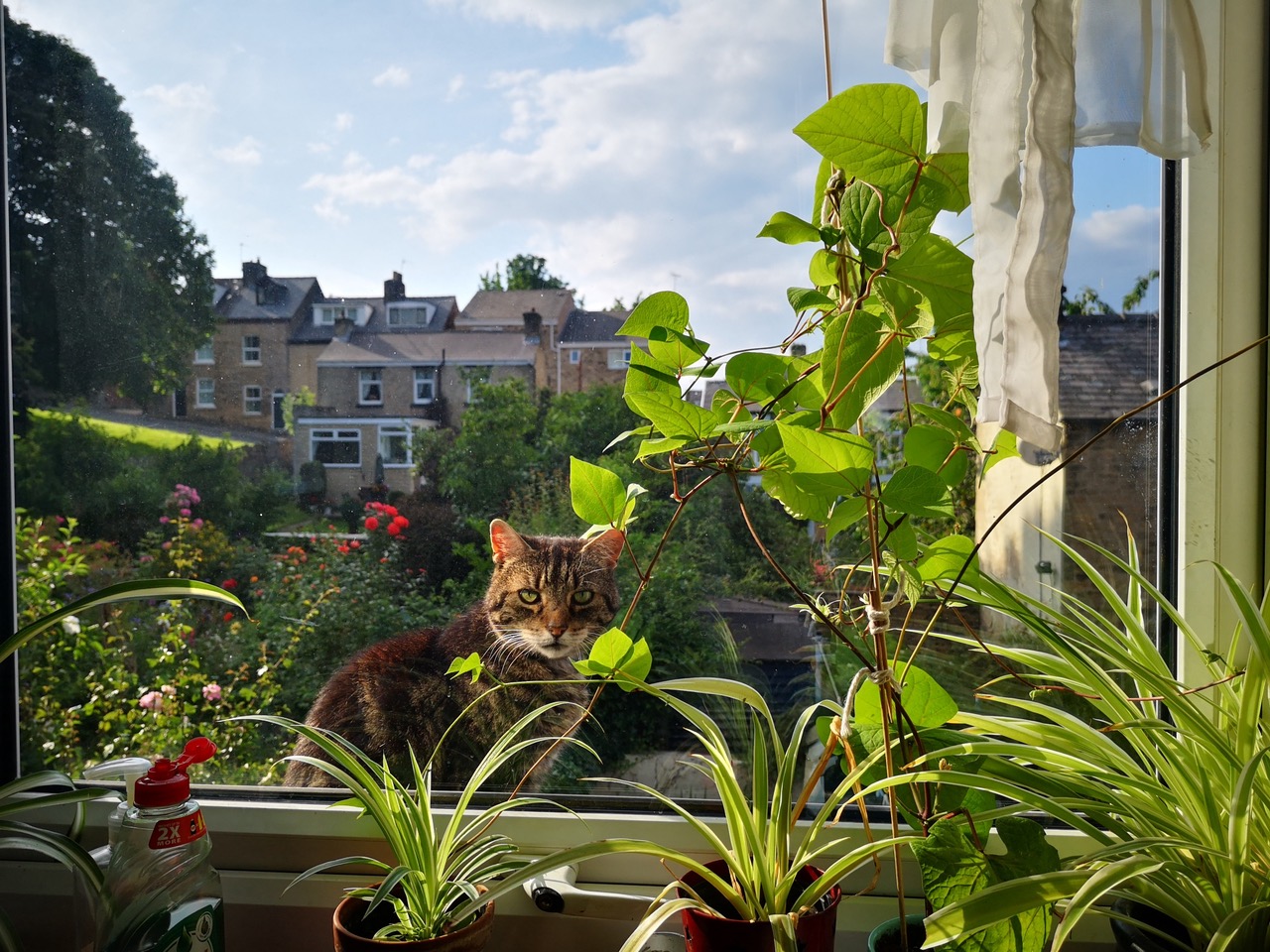 Fwd: Windowsill			
					</div><!-- .entry-content -->
		
		<footer>
		
		
		
					
					</footer><!-- .entry-meta -->
	</article><!-- #post -->
				
											
				
		
<hr class=