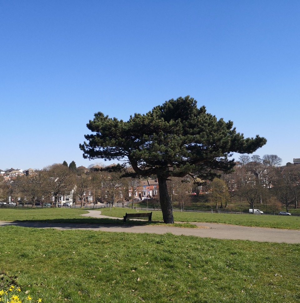 Fwd: Firth Park			
					</div><!-- .entry-content -->
		
		<footer>
		
		
		
					
					</footer><!-- .entry-meta -->
	</article><!-- #post -->
				
											
				
		
<hr class=