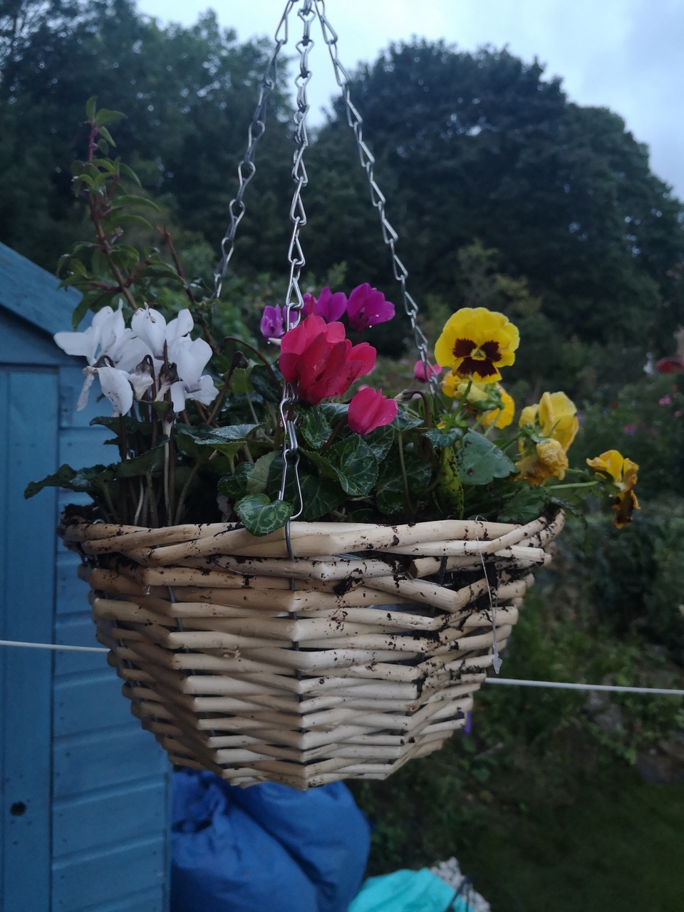 Fwd: First basket			
					</div><!-- .entry-content -->
		
		<footer>
		
		
		
					
					</footer><!-- .entry-meta -->
	</article><!-- #post -->
				
											
				
		
<hr class=