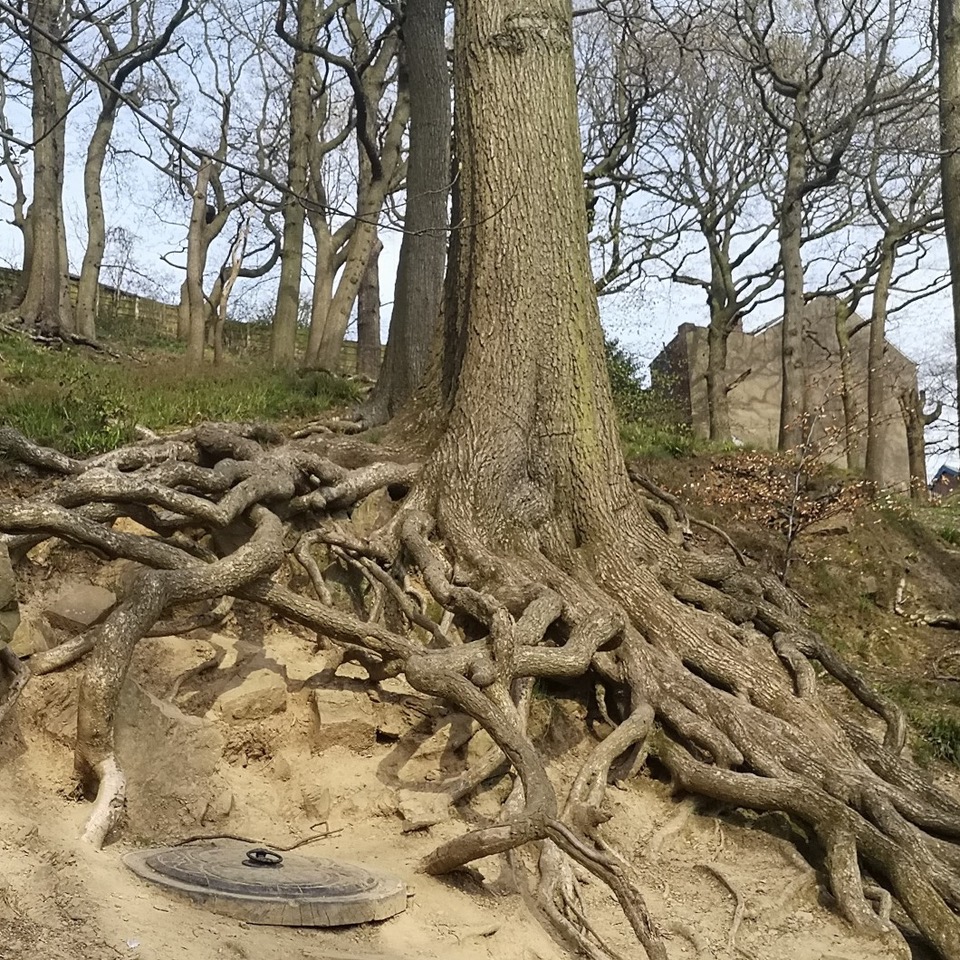 Fwd: Endcliffe Park by Audra			
					</div><!-- .entry-content -->
		
		<footer>
		
		
		
					
					</footer><!-- .entry-meta -->
	</article><!-- #post -->
				
											
				
		
<hr class=