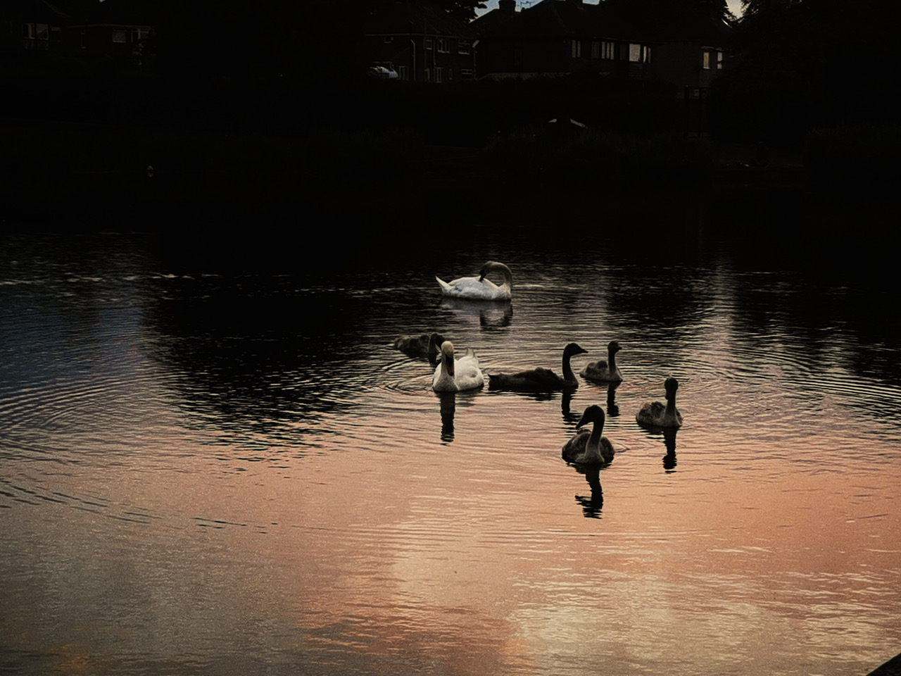 Fwd: Frecheville pond at dusk by Stephen De Couto			
					</div><!-- .entry-content -->
		
		<footer>
		
		
		
					
					</footer><!-- .entry-meta -->
	</article><!-- #post -->
				
											
				
		
<hr class=