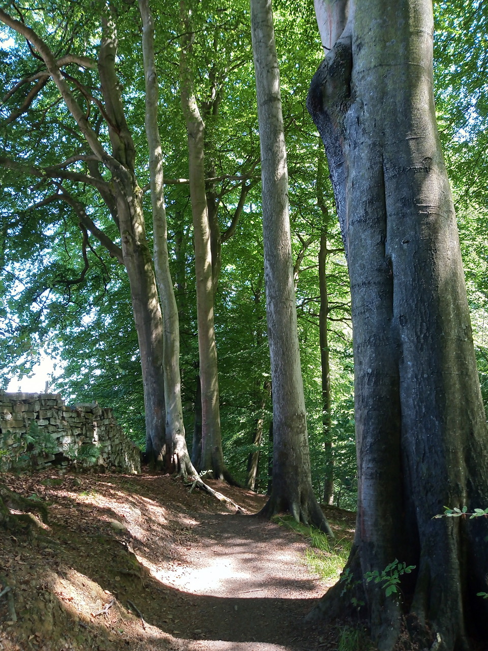 Fwd: Upper porter Clough by shona.78			
					</div><!-- .entry-content -->
		
		<footer>
		
		
		
					
					</footer><!-- .entry-meta -->
	</article><!-- #post -->
				
											
				
		
<hr class=