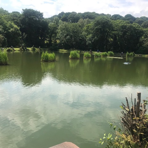 Fwd: Loxley Pond			
					</div><!-- .entry-content -->
		
		<footer>
		
		
		
					
					</footer><!-- .entry-meta -->
	</article><!-- #post -->
				
											
				
		
<hr class=
