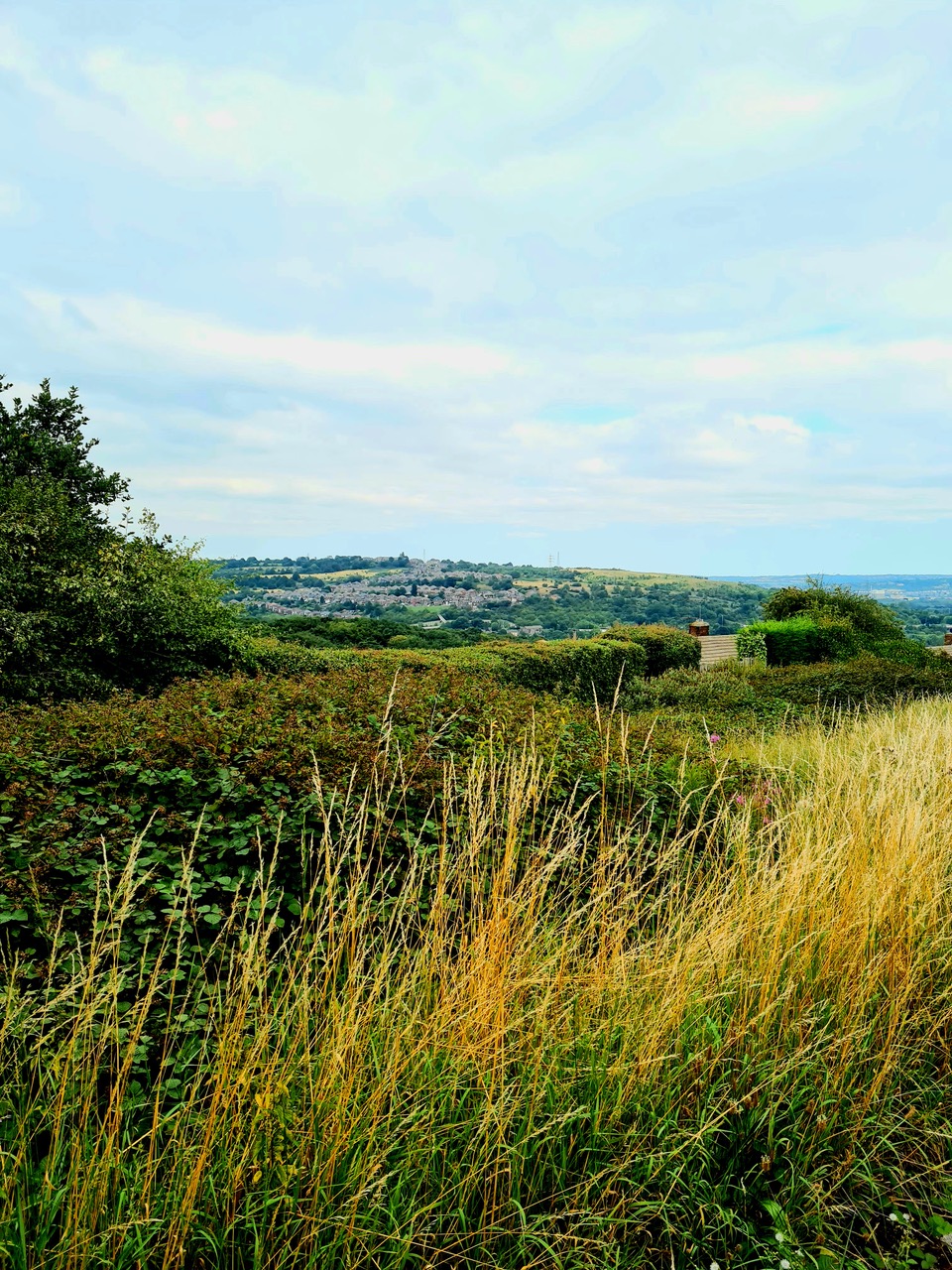 Fwd: View above Shiregreen			
					</div><!-- .entry-content -->
		
		<footer>
		
		
		
					
					</footer><!-- .entry-meta -->
	</article><!-- #post -->
				
											
				
		
<hr class=