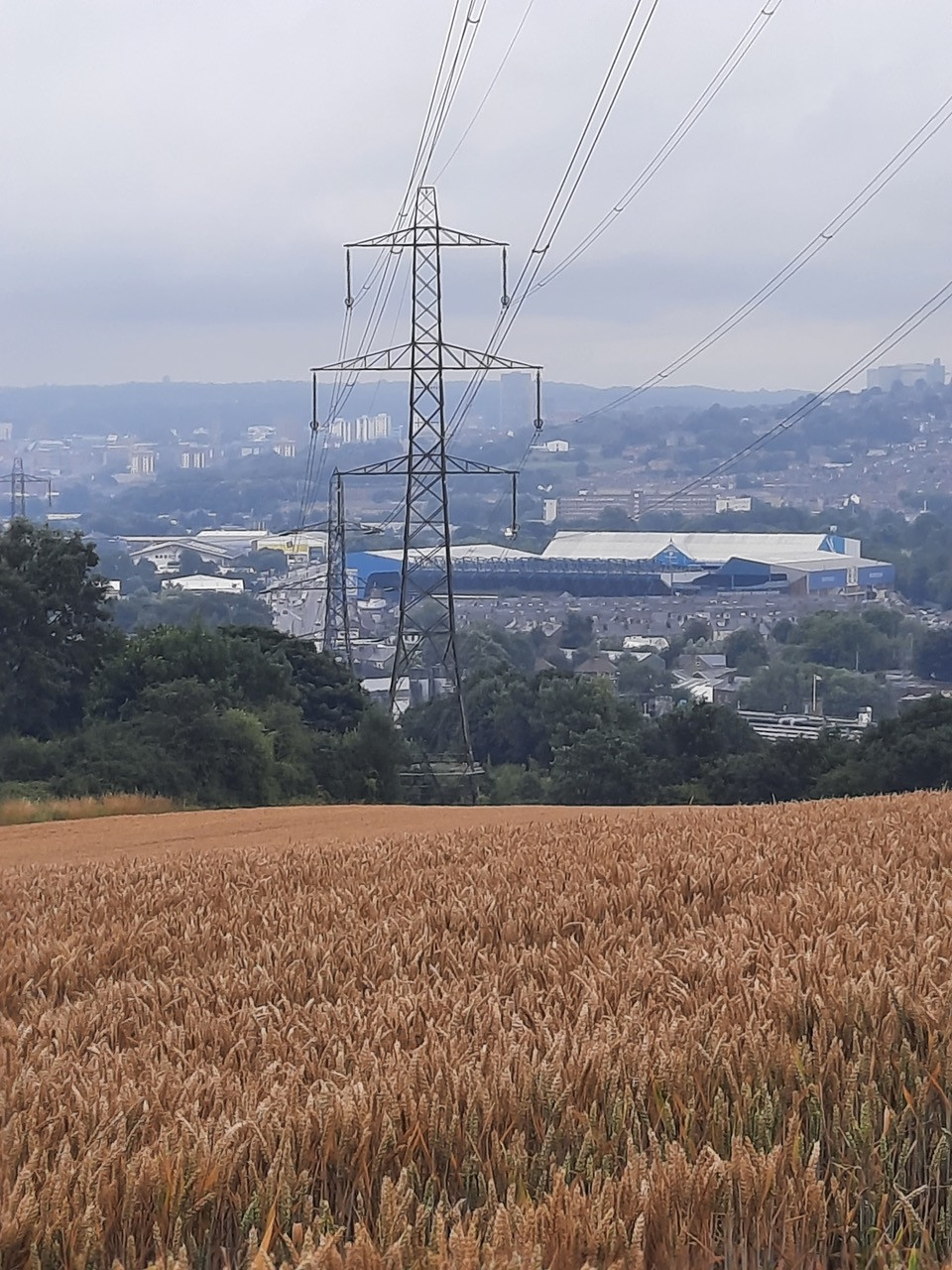 Fwd: Foxhill overlooking SWFC by Kevin Lees			
					</div><!-- .entry-content -->
		
		<footer>
		
		
		
					
					</footer><!-- .entry-meta -->
	</article><!-- #post -->
				
											
				
		
<hr class=