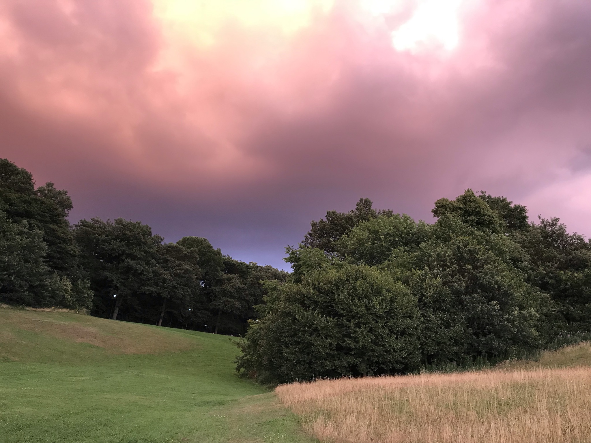 Fwd: Photograph by Nira (Norfolk Park sunset)			
					</div><!-- .entry-content -->
		
		<footer>
		
		
		
					
					</footer><!-- .entry-meta -->
	</article><!-- #post -->
				
											
				
		
<hr class=