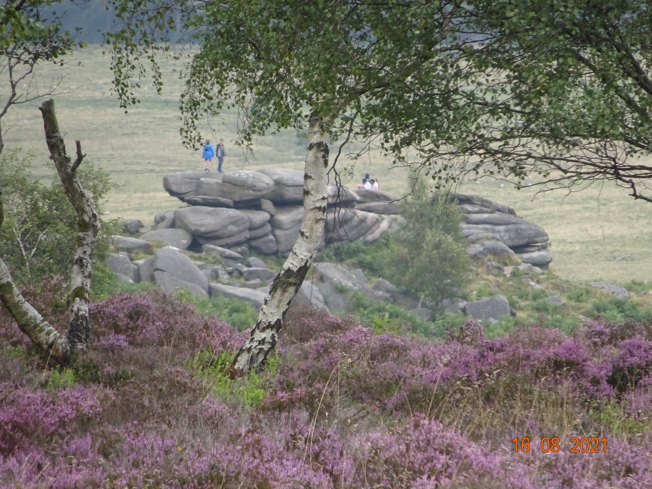 Fwd: Surprise View Car Park towards Longshaw			
					</div><!-- .entry-content -->
		
		<footer>
		
		
		
					
					</footer><!-- .entry-meta -->
	</article><!-- #post -->
				
											
				
		
<hr class=