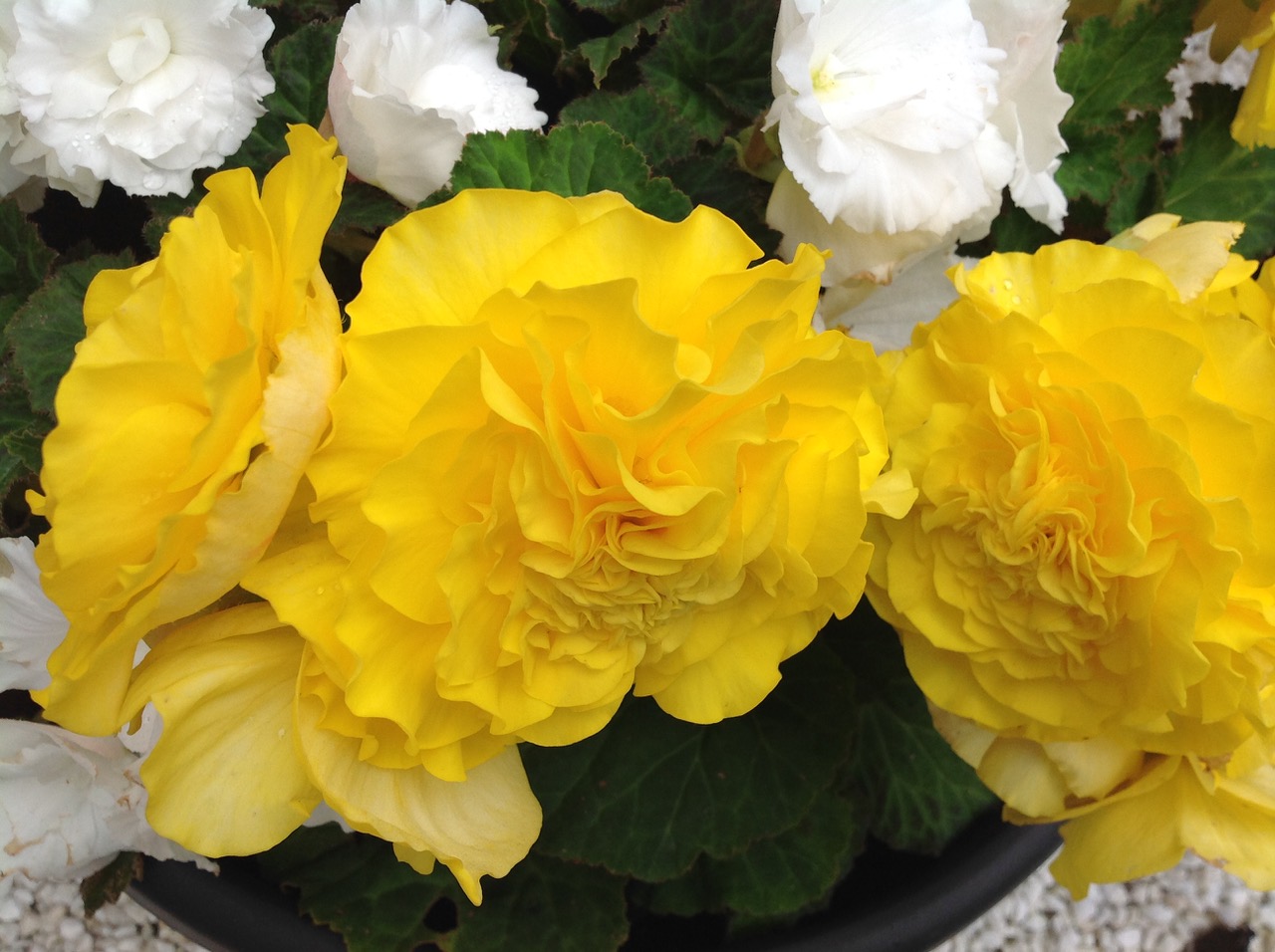 Fwd: Photograph by Nira			
					</div><!-- .entry-content -->
		
		<footer>
		
		
		
					
					</footer><!-- .entry-meta -->
	</article><!-- #post -->
				
											
				
		
<hr class=