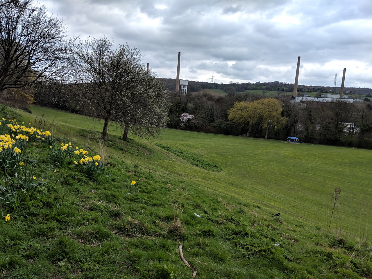 Fwd: Photo of Middlewood, Sheffield			
					</div><!-- .entry-content -->
		
		<footer>
		
		
		
					
					</footer><!-- .entry-meta -->
	</article><!-- #post -->
				
											
				
		
<hr class=