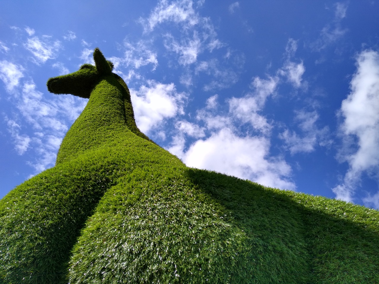 Fwd: Fox Valley Giraffe, Stocksbridge.			
					</div><!-- .entry-content -->
		
		<footer>
		
		
		
					
					</footer><!-- .entry-meta -->
	</article><!-- #post -->
				
											
				
		
<hr class=