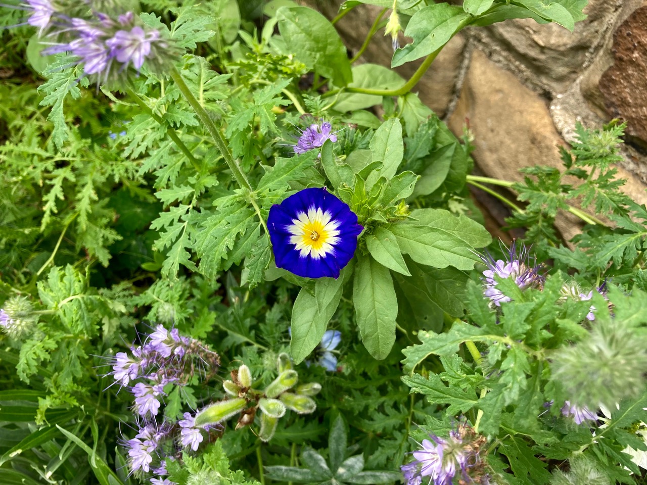 Fwd: Photograph submission for tv			
					</div><!-- .entry-content -->
		
		<footer>
		
		
		
					
					</footer><!-- .entry-meta -->
	</article><!-- #post -->
				
											
				
		
<hr class=