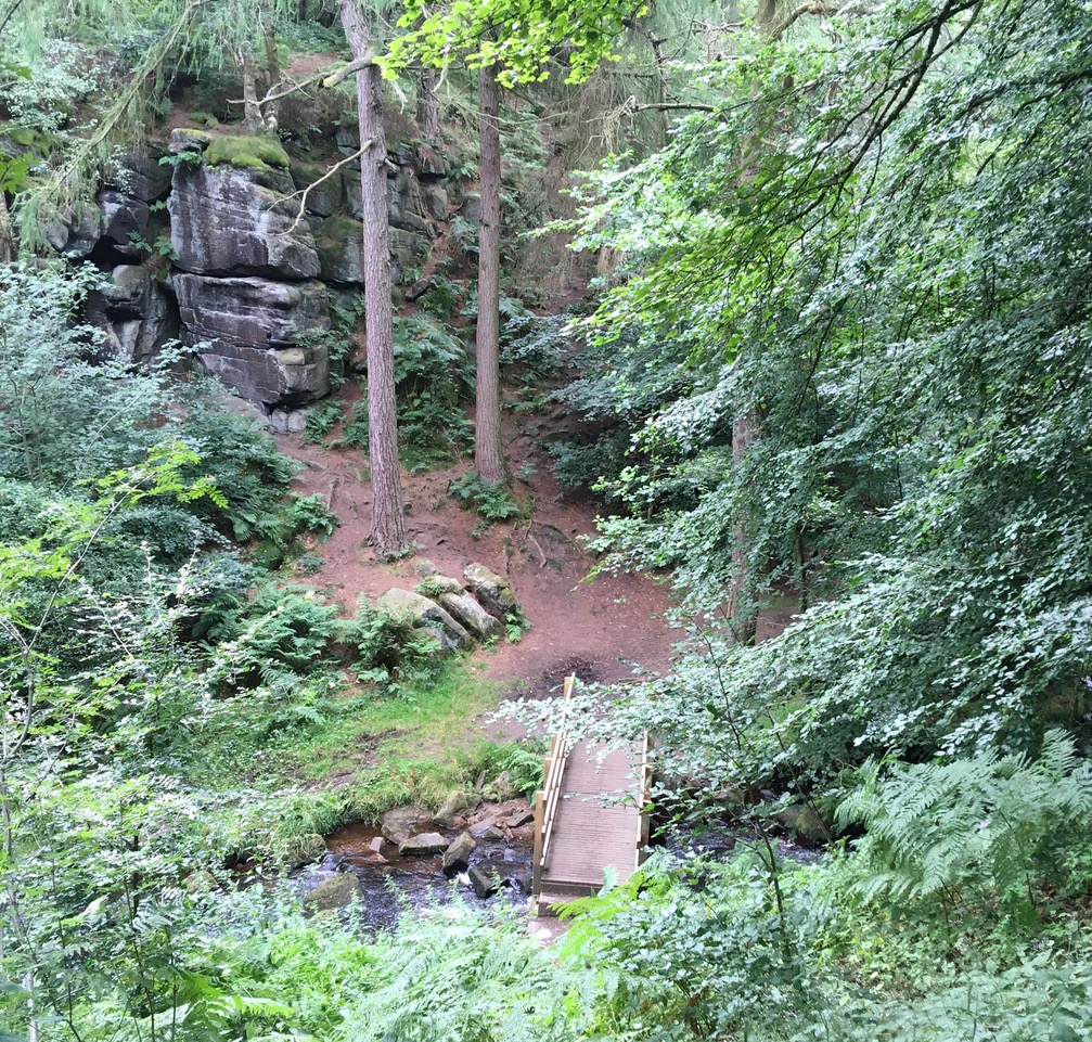 Fwd: Wyming Brook Nature Trail.			
					</div><!-- .entry-content -->
		
		<footer>
		
		
		
					
					</footer><!-- .entry-meta -->
	</article><!-- #post -->
				
											
				
		
<hr class=
