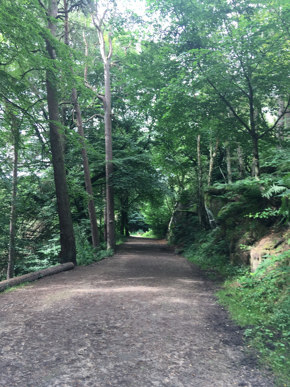 Fwd: Wyming Brook Nature Trail			
					</div><!-- .entry-content -->
		
		<footer>
		
		
		
					
					</footer><!-- .entry-meta -->
	</article><!-- #post -->
				
											
				
		
<hr class=