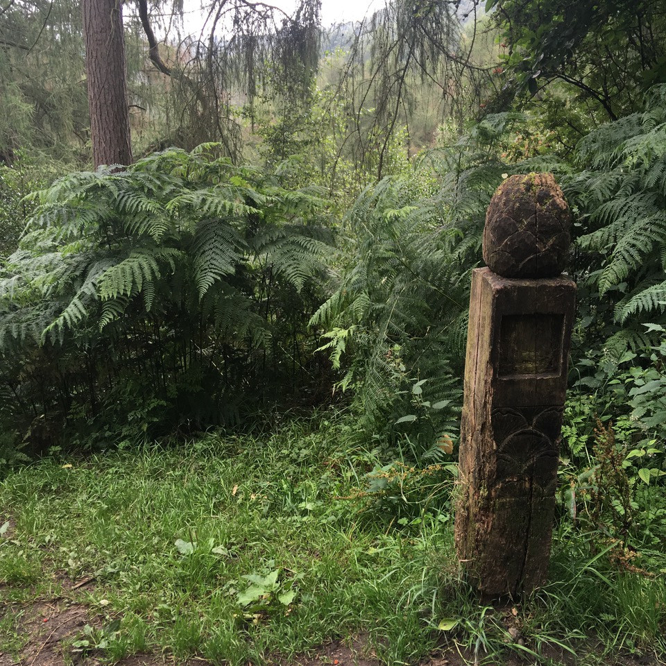 Fwd: Wyming Brook Nature Trail			
					</div><!-- .entry-content -->
		
		<footer>
		
		
		
					
					</footer><!-- .entry-meta -->
	</article><!-- #post -->
				
											
				
		
<hr class=