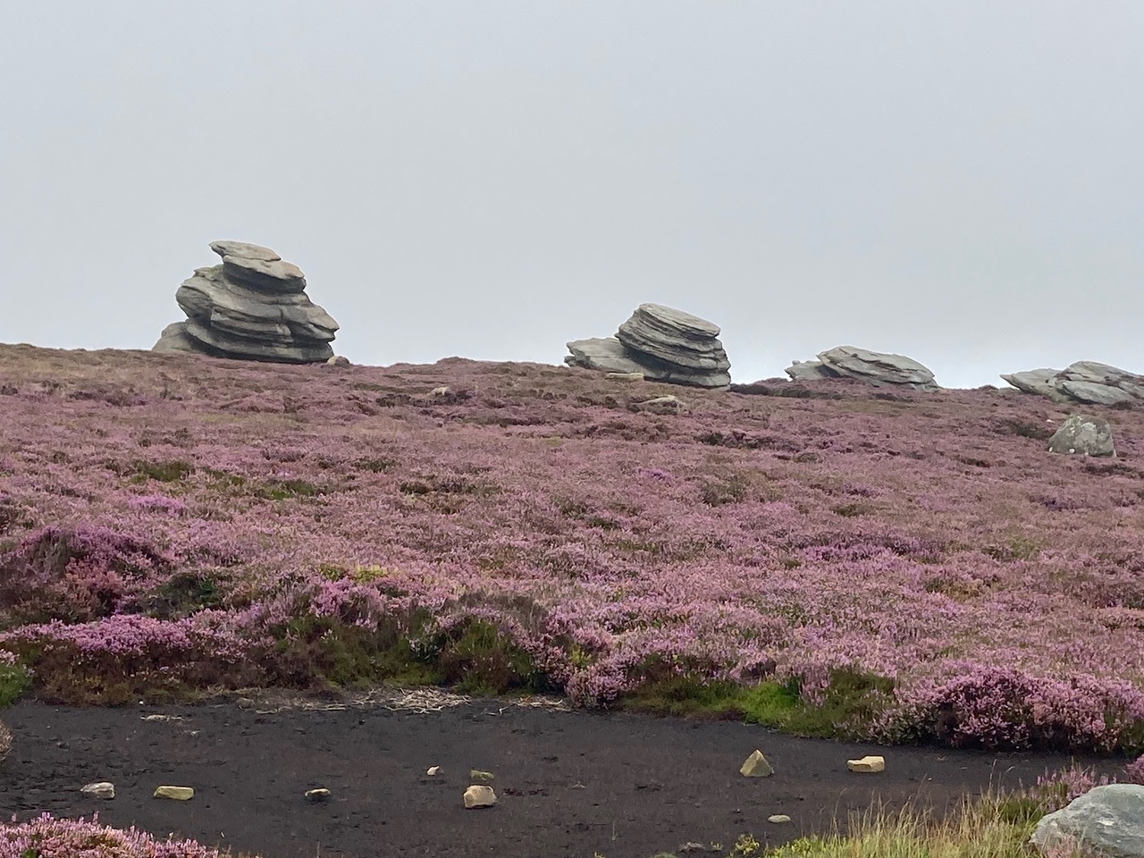Fwd: Derwent Edge			
					</div><!-- .entry-content -->
		
		<footer>
		
		
		
					
					</footer><!-- .entry-meta -->
	</article><!-- #post -->
				
											
				
		
<hr class=