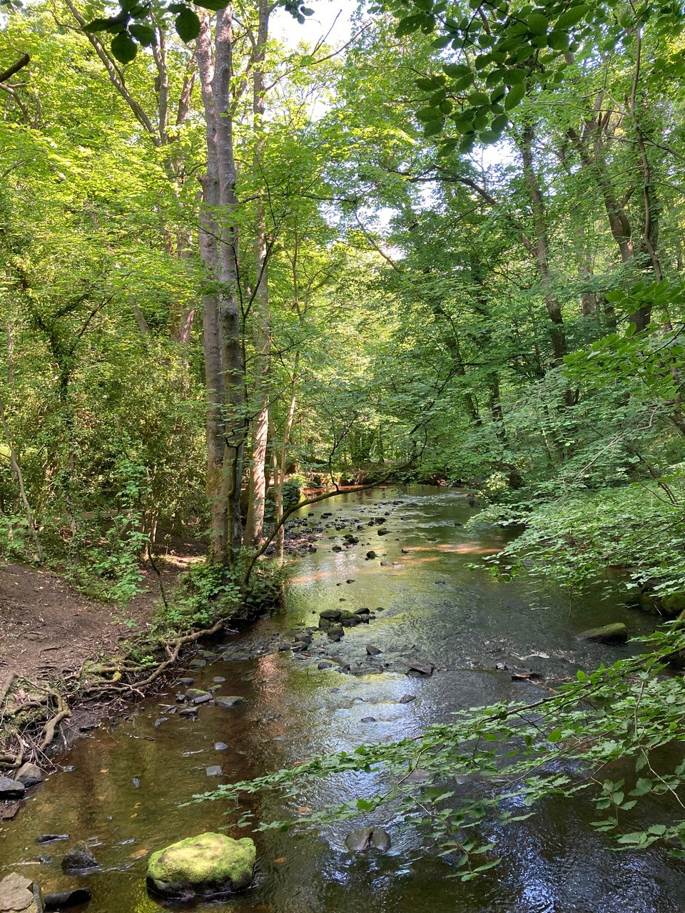 Fwd: Rivelin			
					</div><!-- .entry-content -->
		
		<footer>
		
		
		
					
					</footer><!-- .entry-meta -->
	</article><!-- #post -->
				
											
				
		
<hr class=