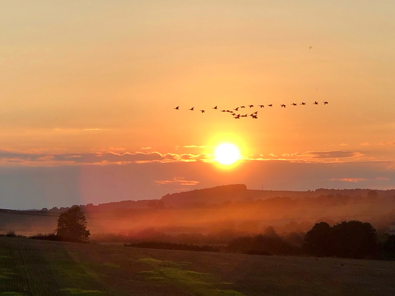 Fwd: Mosborough Sheffield. Keith Bown			
					</div><!-- .entry-content -->
		
		<footer>
		
		
		
					
					</footer><!-- .entry-meta -->
	</article><!-- #post -->
				
											
				
		
<hr class=