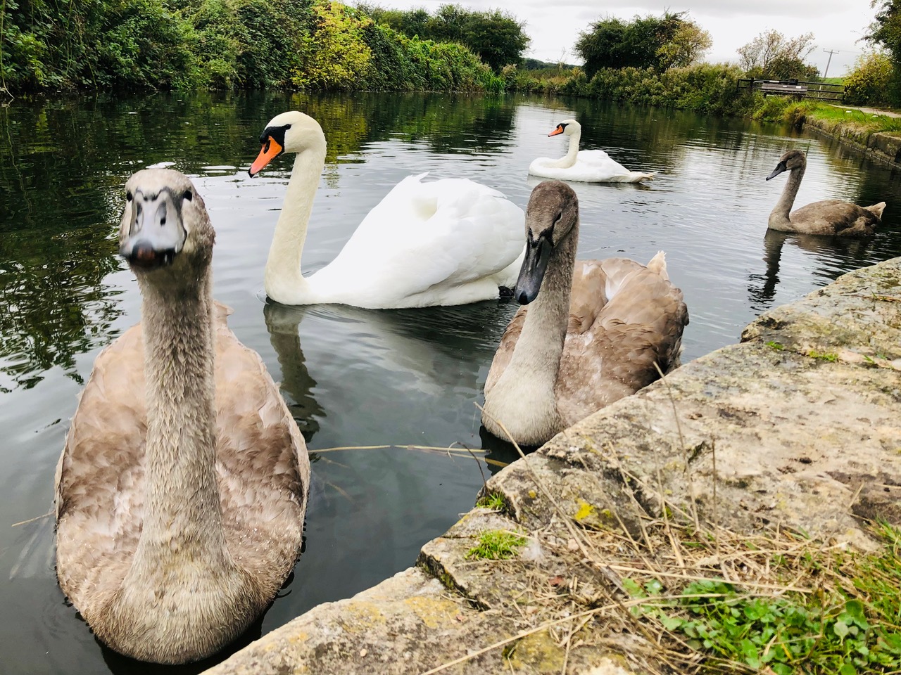 Fwd: Chesterfield Canal. Keith Bown			
					</div><!-- .entry-content -->
		
		<footer>
		
		
		
					
					</footer><!-- .entry-meta -->
	</article><!-- #post -->
				
											
				
		
<hr class=