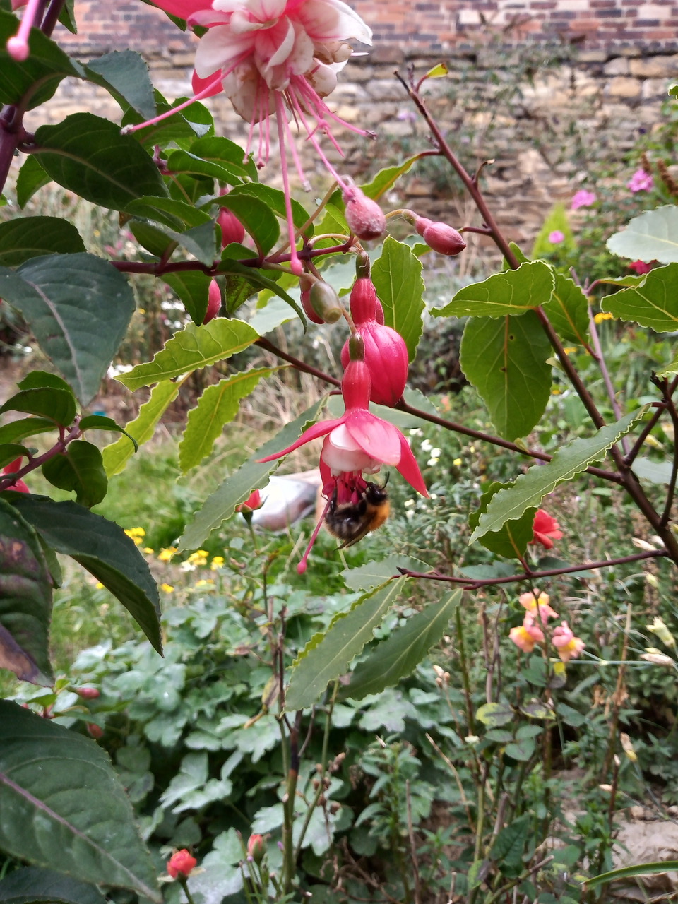 Fwd: Garden by Shona			
					</div><!-- .entry-content -->
		
		<footer>
		
		
		
					
					</footer><!-- .entry-meta -->
	</article><!-- #post -->
				
											
				
		
<hr class=