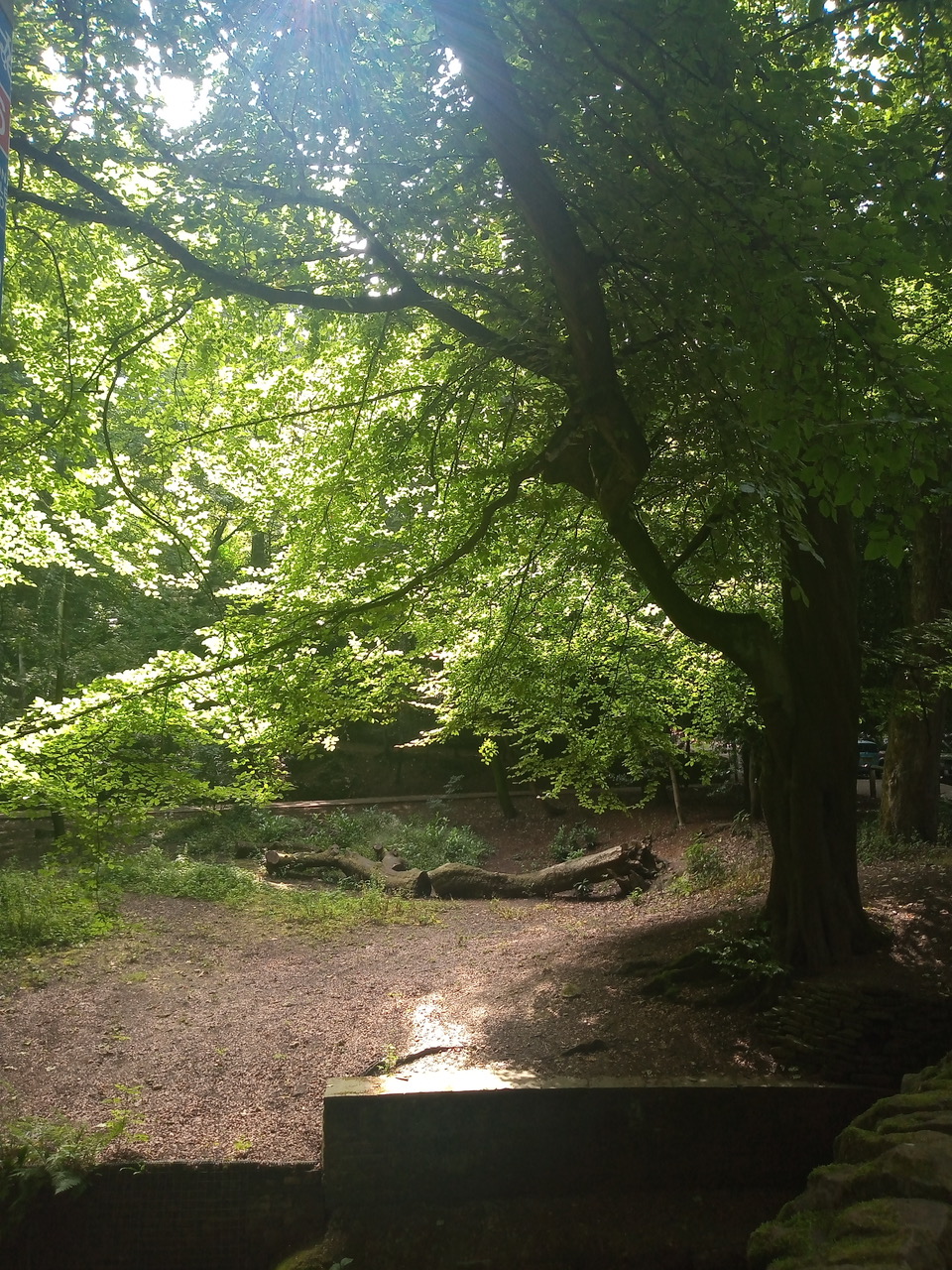 Fwd: Porter brook path by shona			
					</div><!-- .entry-content -->
		
		<footer>
		
		
		
					
					</footer><!-- .entry-meta -->
	</article><!-- #post -->
				
											
				
		
<hr class=