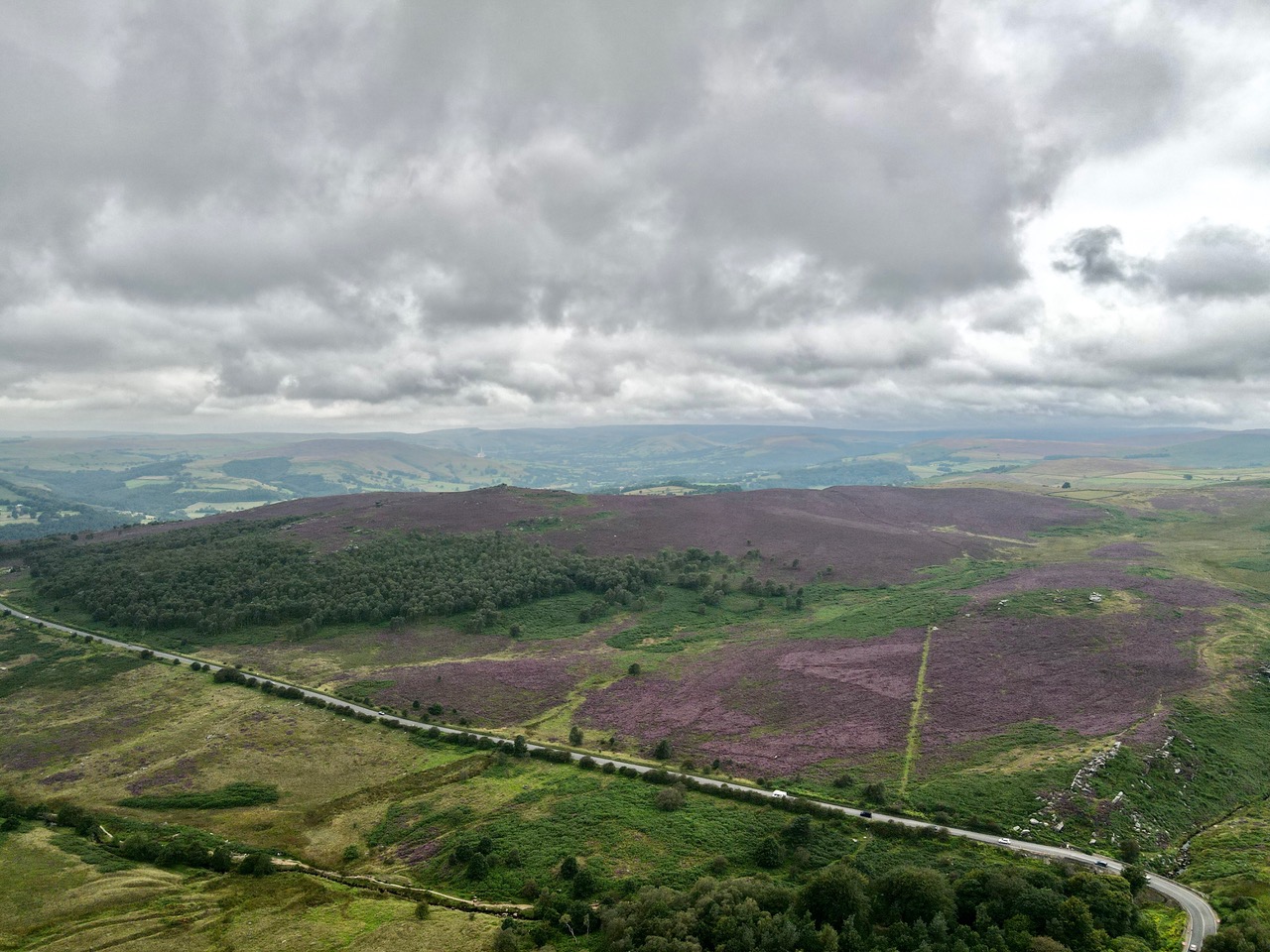 Fwd: Heather at Burbage Peak District. Keith Bown			
					</div><!-- .entry-content -->
		
		<footer>
		
		
		
					
					</footer><!-- .entry-meta -->
	</article><!-- #post -->
				
											
				
		
<hr class=