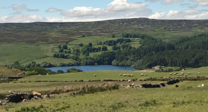 Fwd: Dale dike reservoir by shona			
					</div><!-- .entry-content -->
		
		<footer>
		
		
		
					
					</footer><!-- .entry-meta -->
	</article><!-- #post -->
				
											
				
		
<hr class=