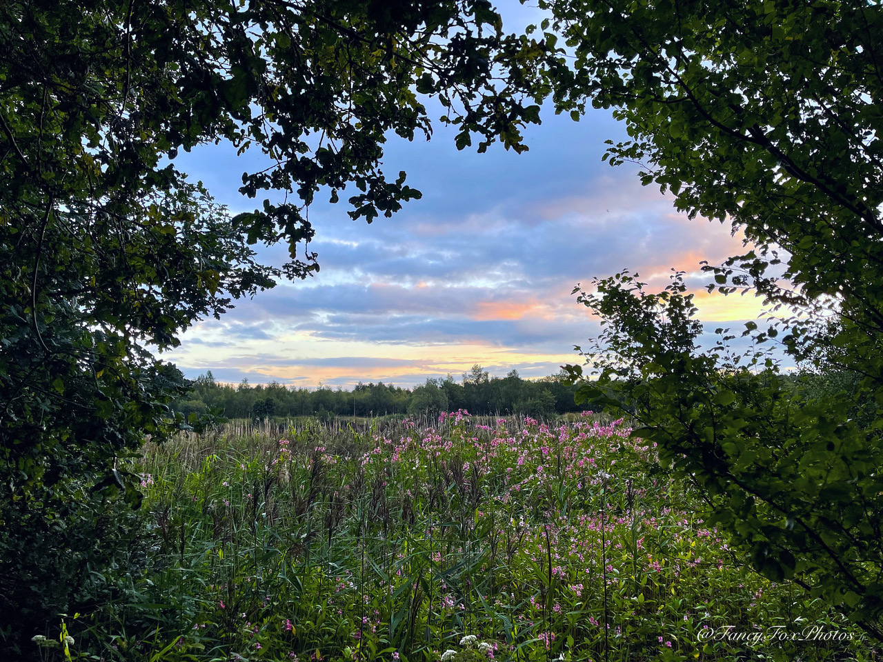 Fwd: Treeton Dyke			
					</div><!-- .entry-content -->
		
		<footer>
		
		
		
					
					</footer><!-- .entry-meta -->
	</article><!-- #post -->
				
											
				
		
<hr class=
