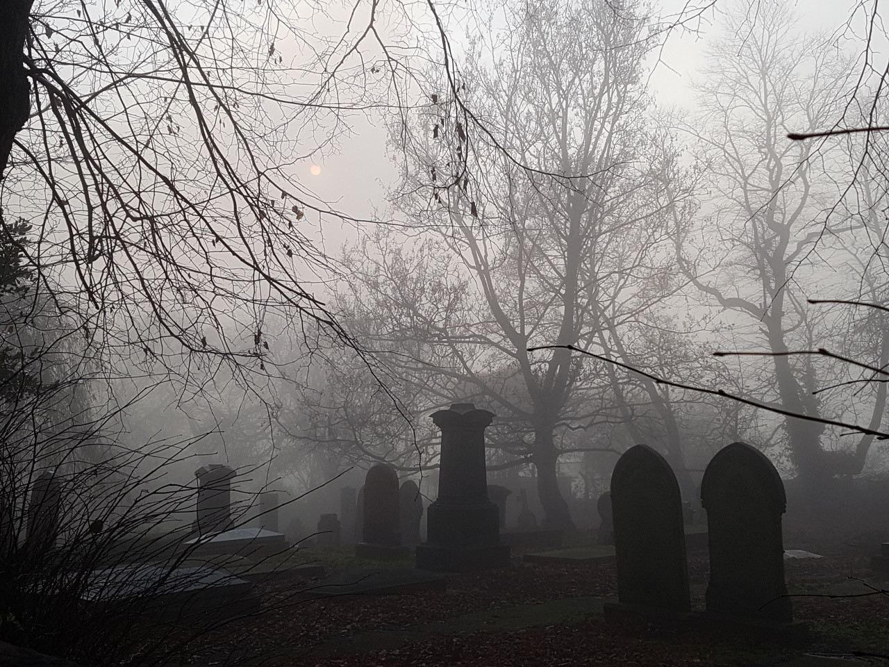 Fwd: Photos			
					</div><!-- .entry-content -->
		
		<footer>
		
		
		
					
					</footer><!-- .entry-meta -->
	</article><!-- #post -->
				
											
				
		
<hr class=