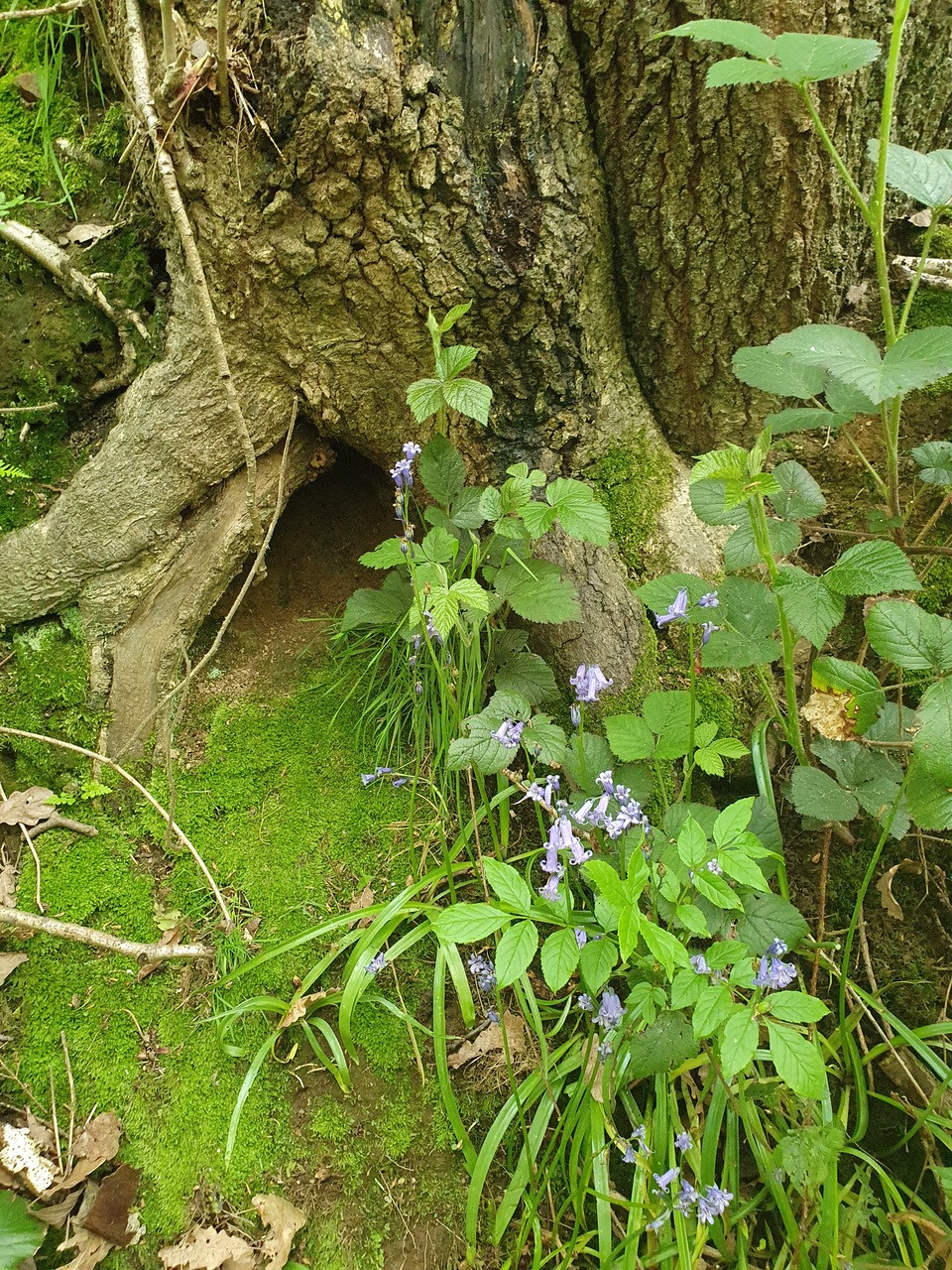 Fwd:			
					</div><!-- .entry-content -->
		
		<footer>
		
		
		
					
					</footer><!-- .entry-meta -->
	</article><!-- #post -->
				
											
				
		
<hr class=