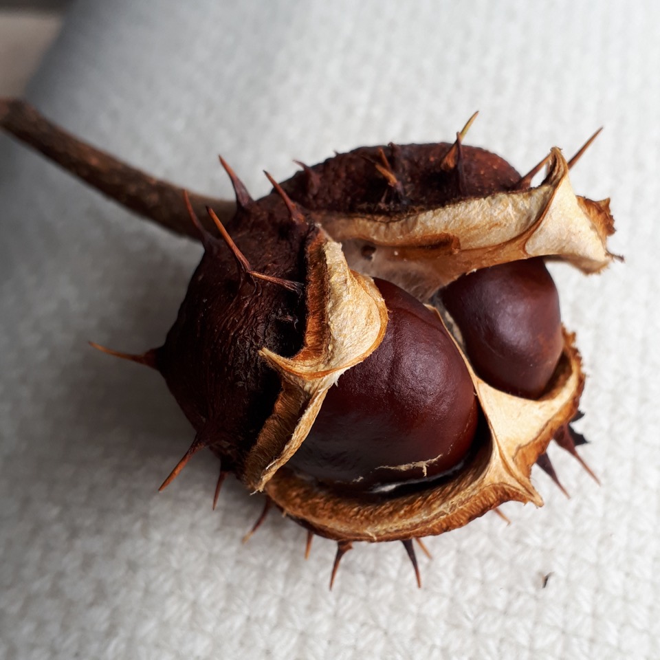 Fwd: [SPAM] Photo. Willy the Conqueror.			
					</div><!-- .entry-content -->
		
		<footer>
		
		
		
					
					</footer><!-- .entry-meta -->
	</article><!-- #post -->
				
											
				
		
<hr class=