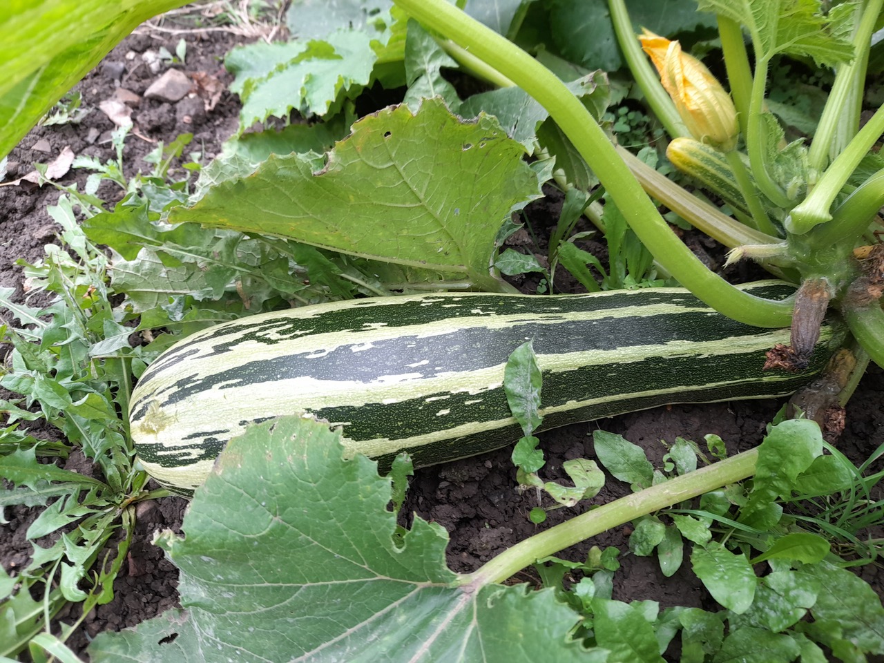 Fwd:			
					</div><!-- .entry-content -->
		
		<footer>
		
		
		
					
					</footer><!-- .entry-meta -->
	</article><!-- #post -->
				
											
				
		
<hr class=