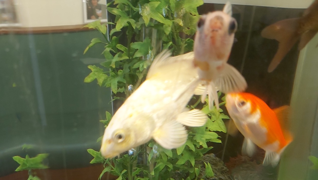 Fwd: Photograph by K Johnson			
					</div><!-- .entry-content -->
		
		<footer>
		
		
		
					
					</footer><!-- .entry-meta -->
	</article><!-- #post -->
				
											
				
		
<hr class=