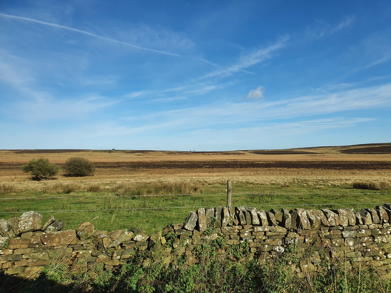 Fwd: blackmoor Moors			
					</div><!-- .entry-content -->
		
		<footer>
		
		
		
					
					</footer><!-- .entry-meta -->
	</article><!-- #post -->
				
											
				
		
<hr class=