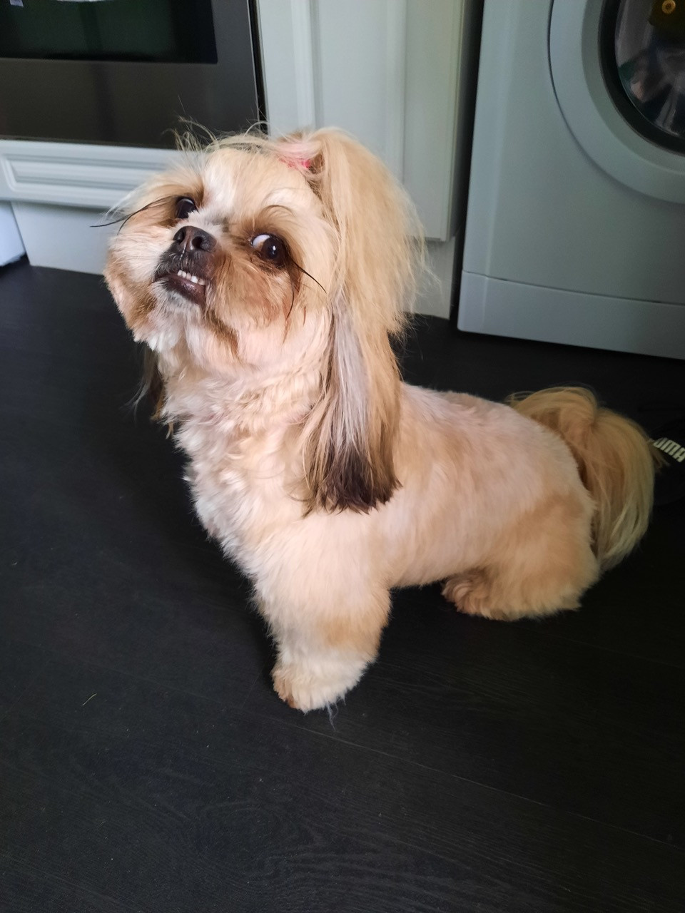 Fwd: Teddy smile by Kevin Lees			
					</div><!-- .entry-content -->
		
		<footer>
		
		
		
					
					</footer><!-- .entry-meta -->
	</article><!-- #post -->
				
											
				
		
<hr class=