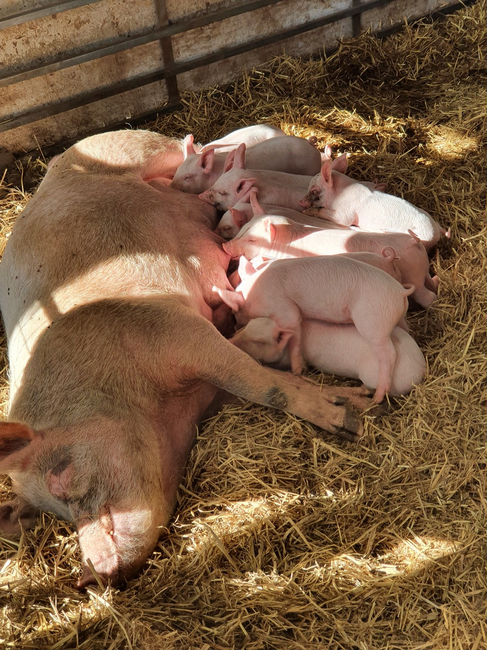 Fwd:			
					</div><!-- .entry-content -->
		
		<footer>
		
		
		
					
					</footer><!-- .entry-meta -->
	</article><!-- #post -->
				
											
				
		
<hr class=