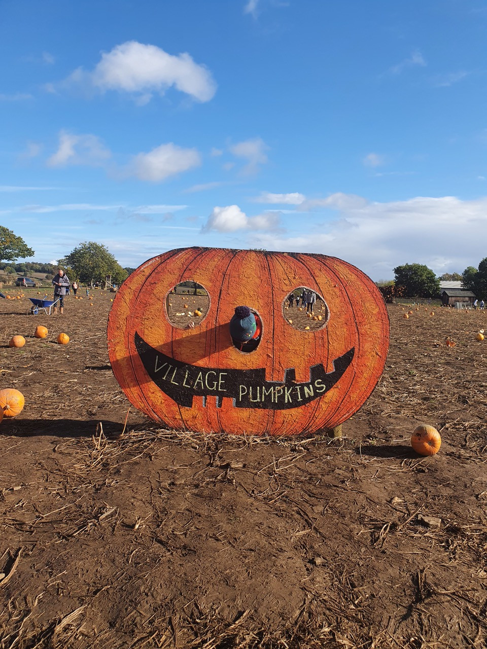 Fwd:			
					</div><!-- .entry-content -->
		
		<footer>
		
		
		
					
					</footer><!-- .entry-meta -->
	</article><!-- #post -->
				
											
				
		
<hr class=